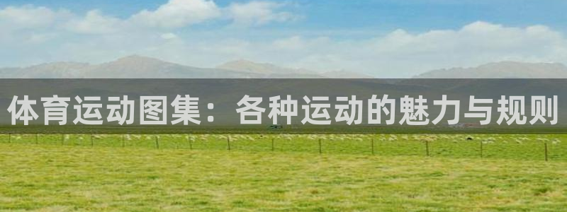 凯发官网下载注册:体育运动图集:各种运动的魅力与规则