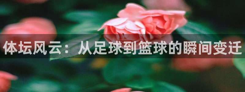 凯发官方正版app官网:体坛风云:从足球到篮球的瞬间变迁